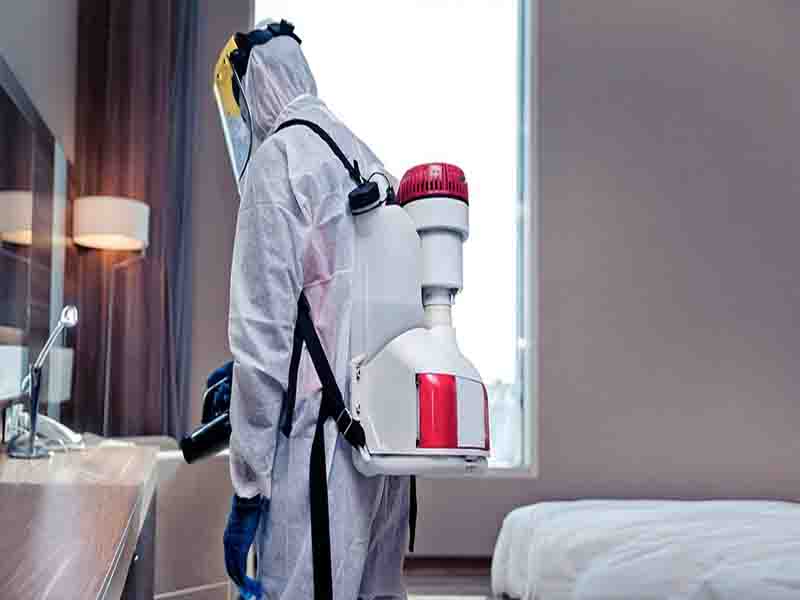 krishna pest control